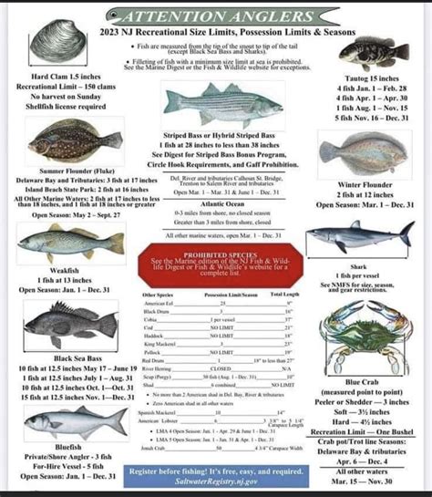 Dec 24, 2020 &0183;&32;TRENTON - To help increase striped bass numbers, the New Jersey Department of Environmental Protection will require anglers to use circle hooks when catch-and-release fishing for striped bass with. . Nj striped bass regulations 2023